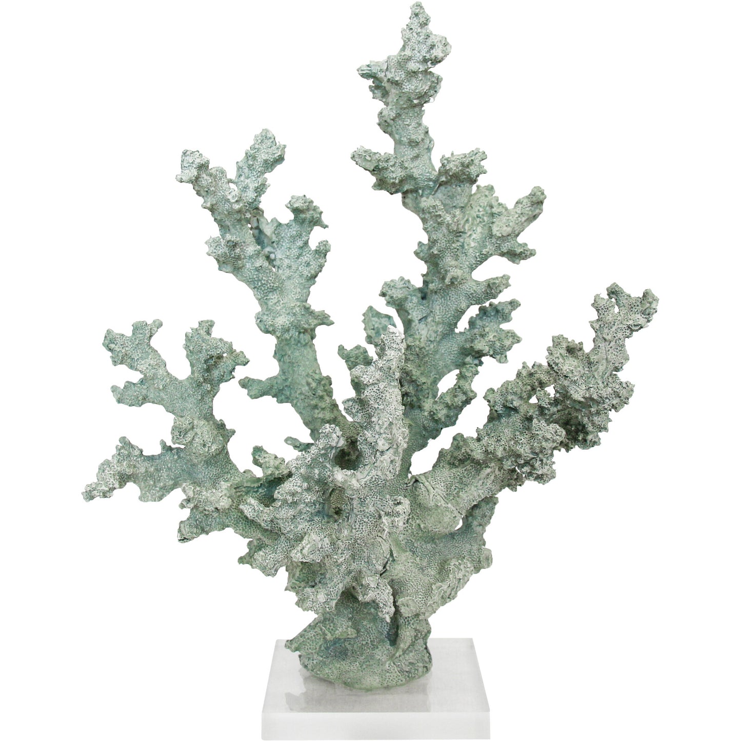 Medina Sea Coral