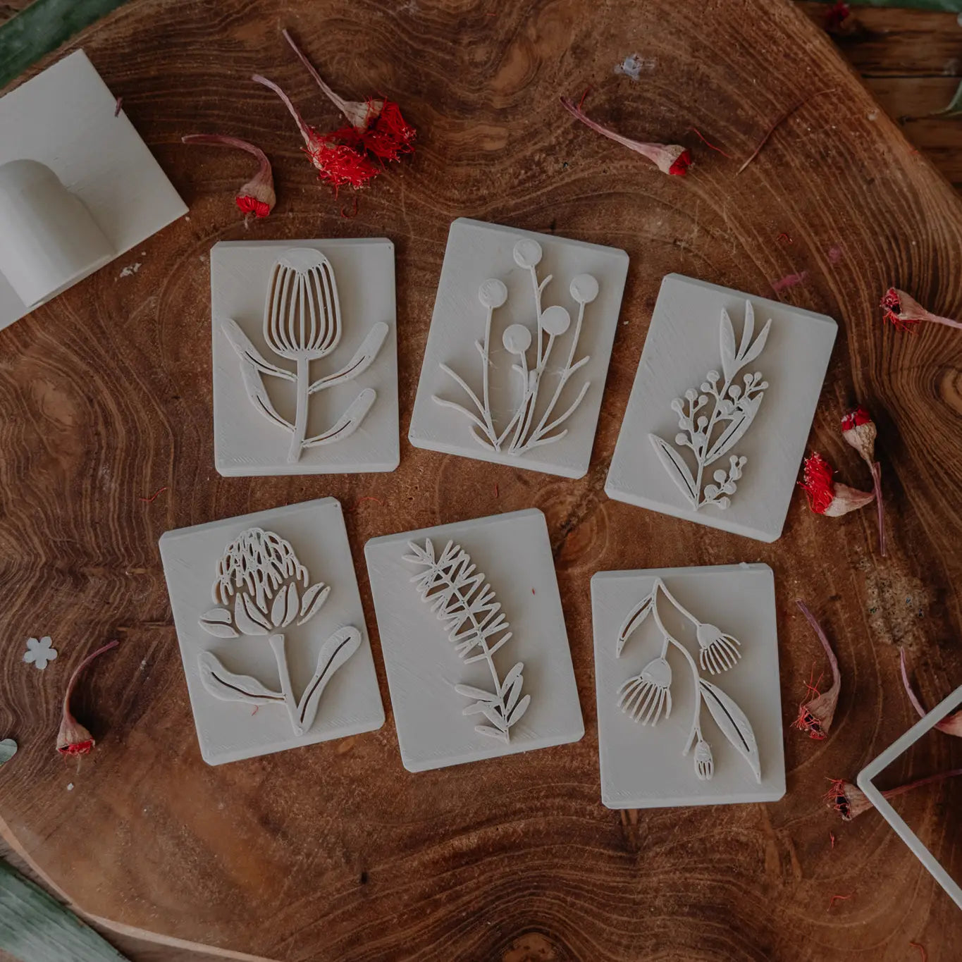 Australian Native Flower Playdough Eco Stamp Set