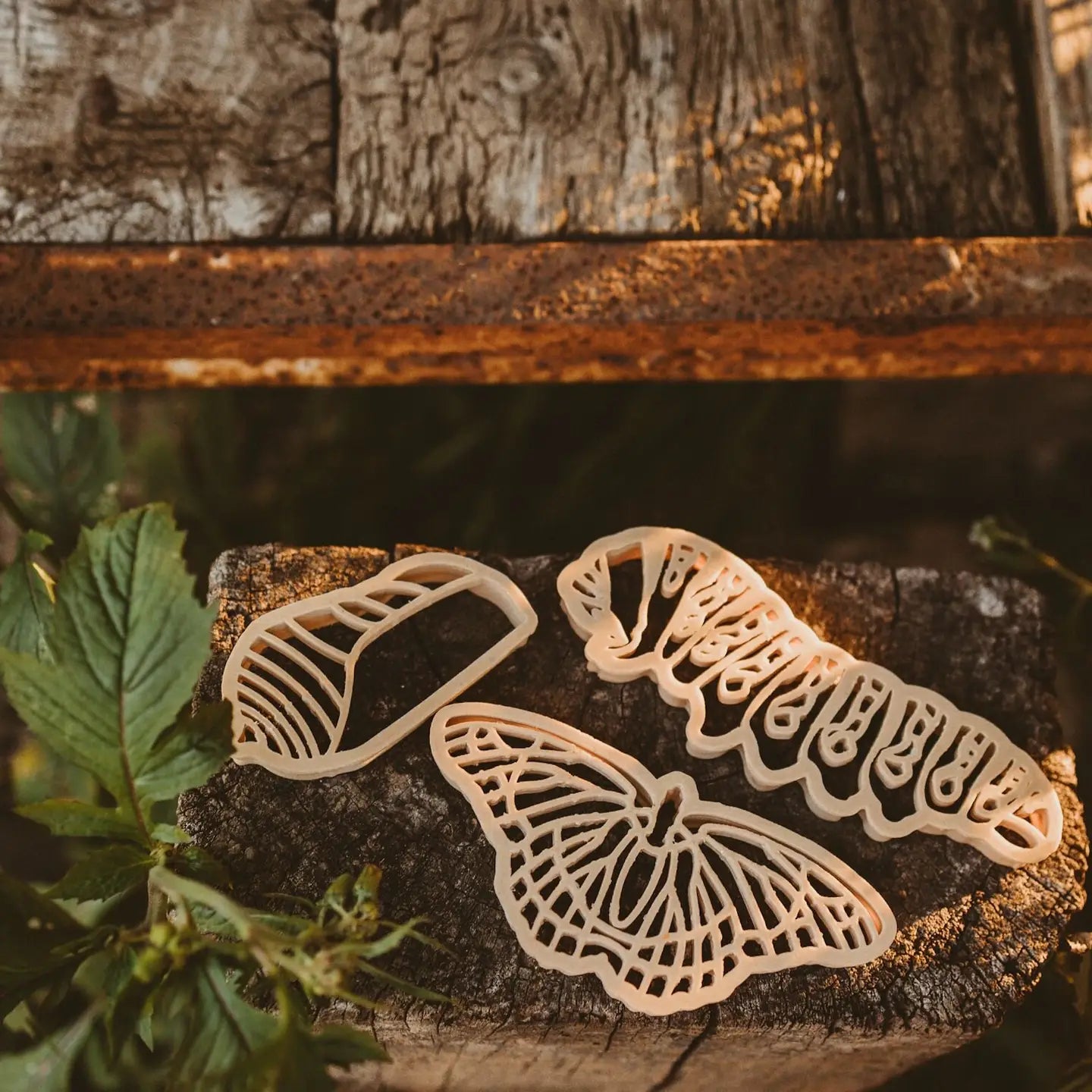 Butterfly Life Cycle Eco Cutter Set