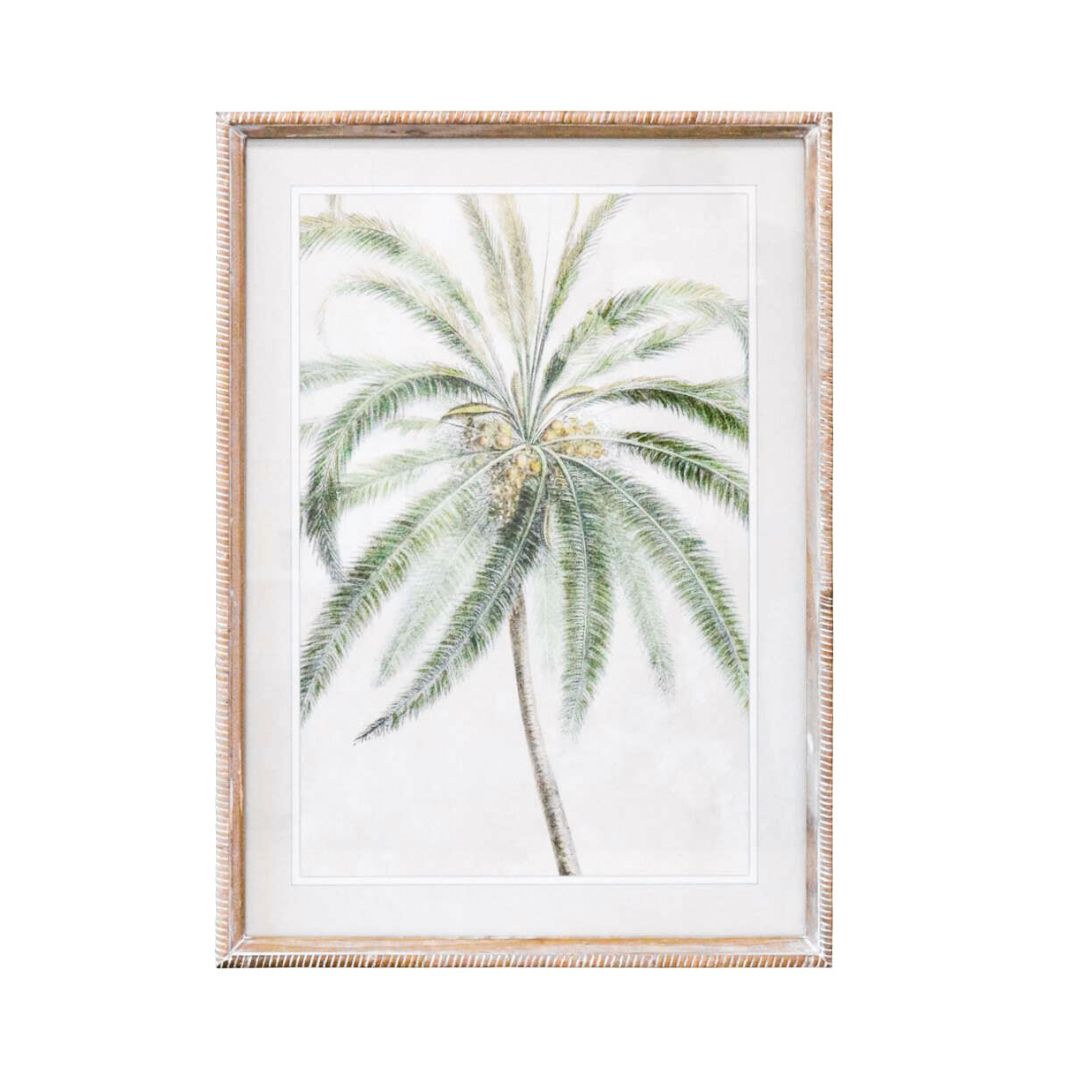 Casa Palmera Framed Print