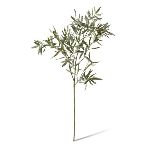 Olive Branch 120cm