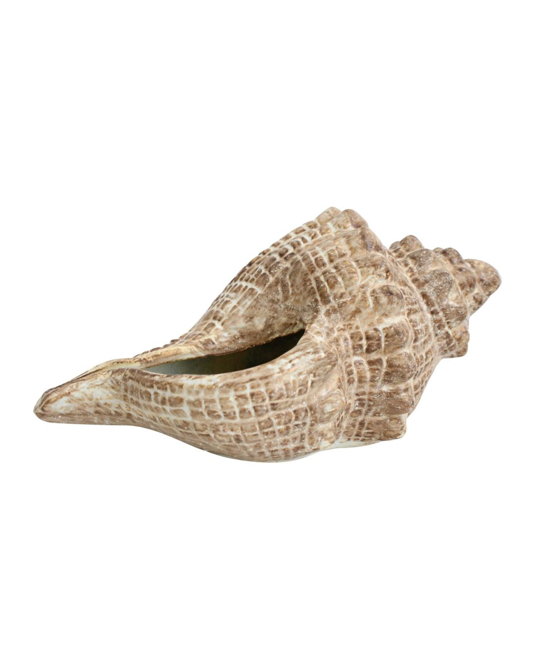 Sacred Shoreline Conch Shell Decorative Planter