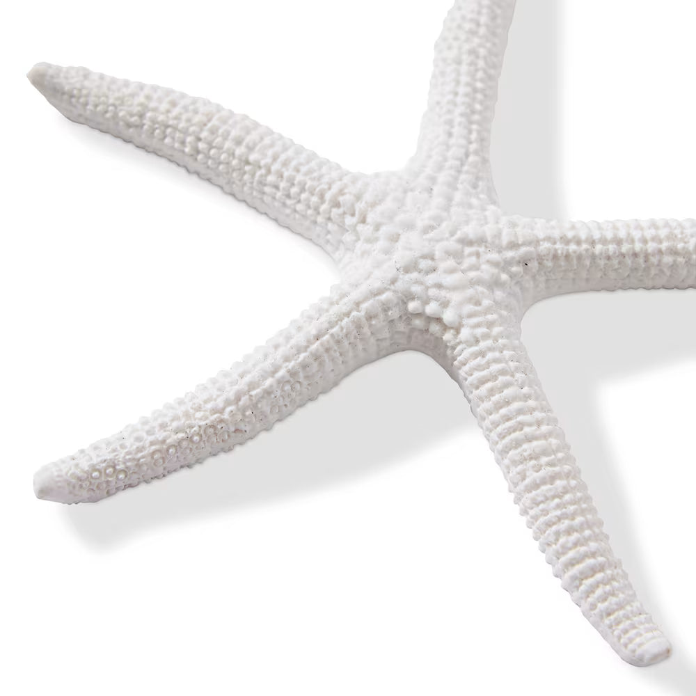 Starfish Sea Star White