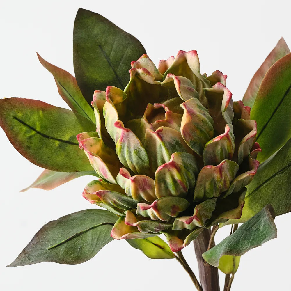 Artichoke Stem 62 cm - Green