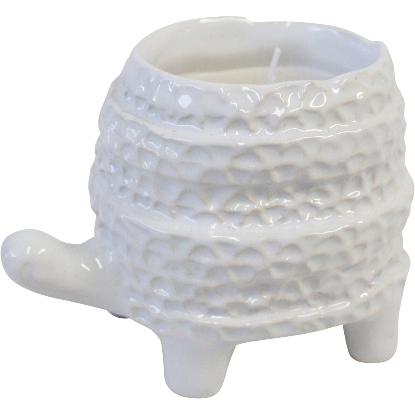 Barnacle Turtle Candle - White