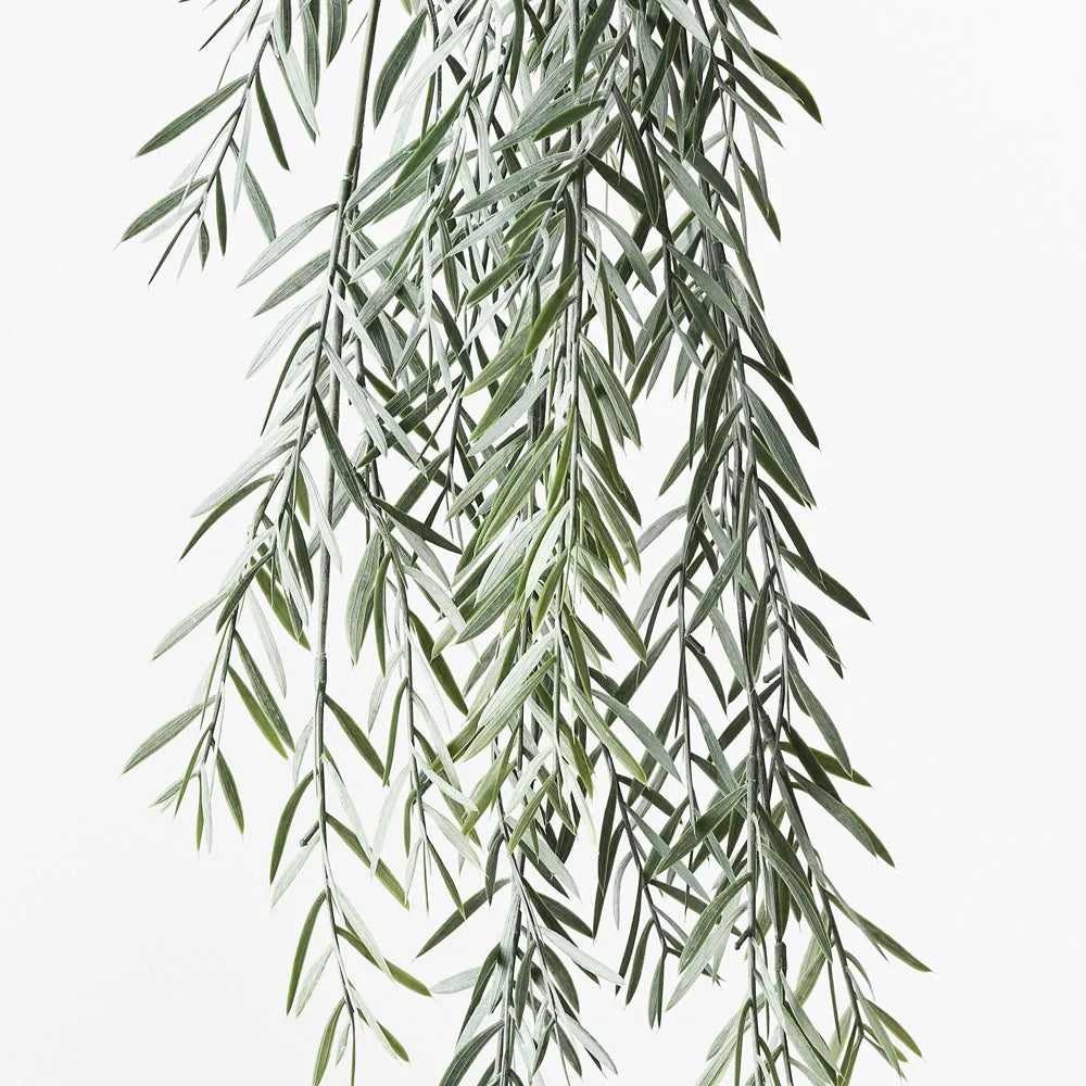 Acacia Leaf Hanging Bush - 76cm