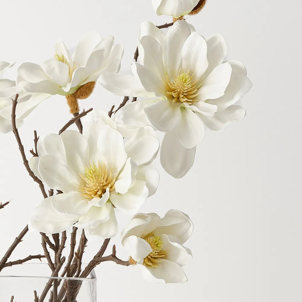 Magnolia Tree Mix in Vase
