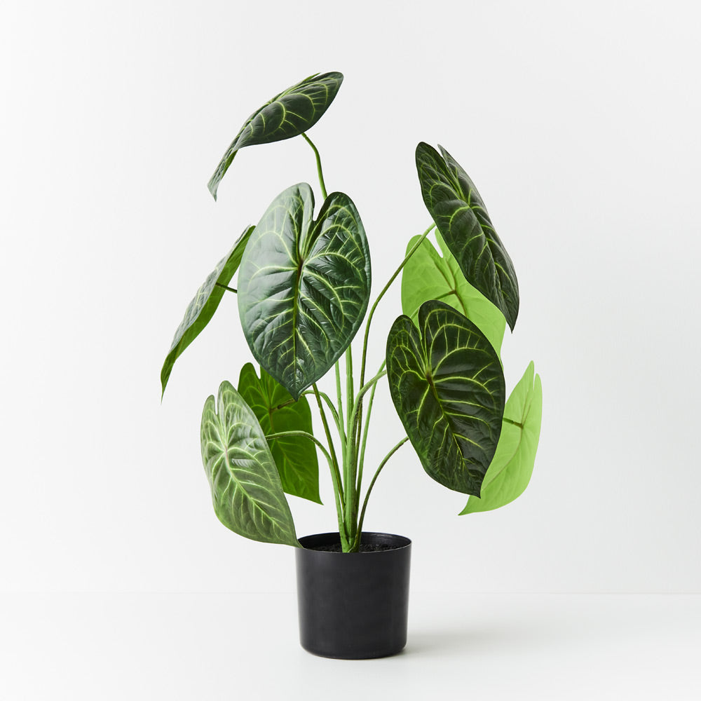 silk anthurium plant Artificial Anthurium Clarinervium Plant – a'prentis