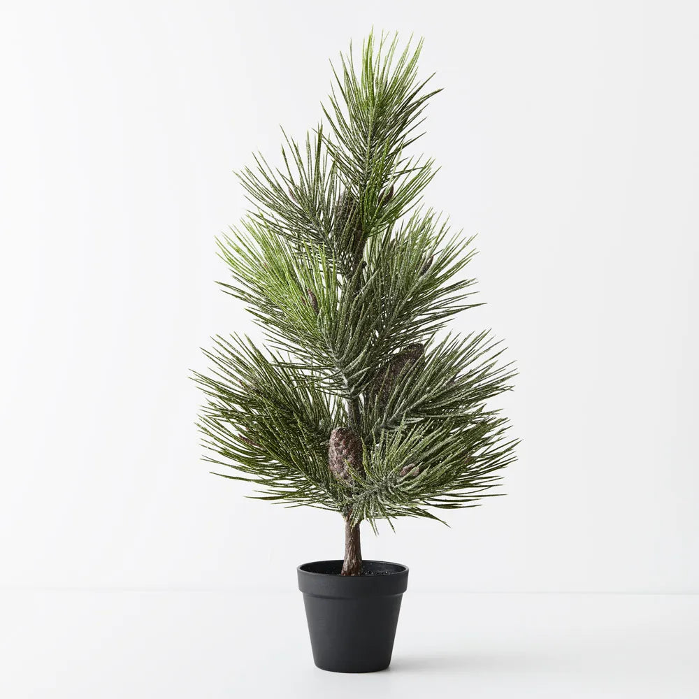Tree Pine Jasper in pot - 69cm