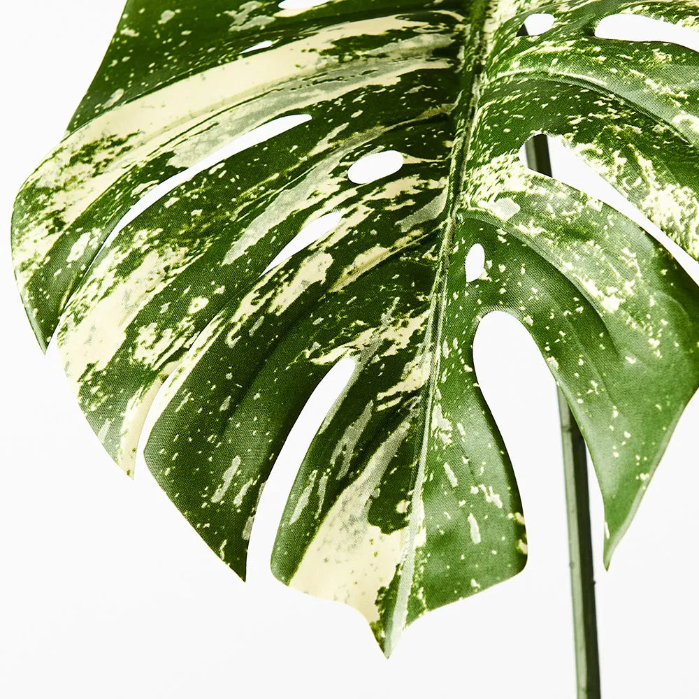 Monstera Leaf 80cm Stem Variegated