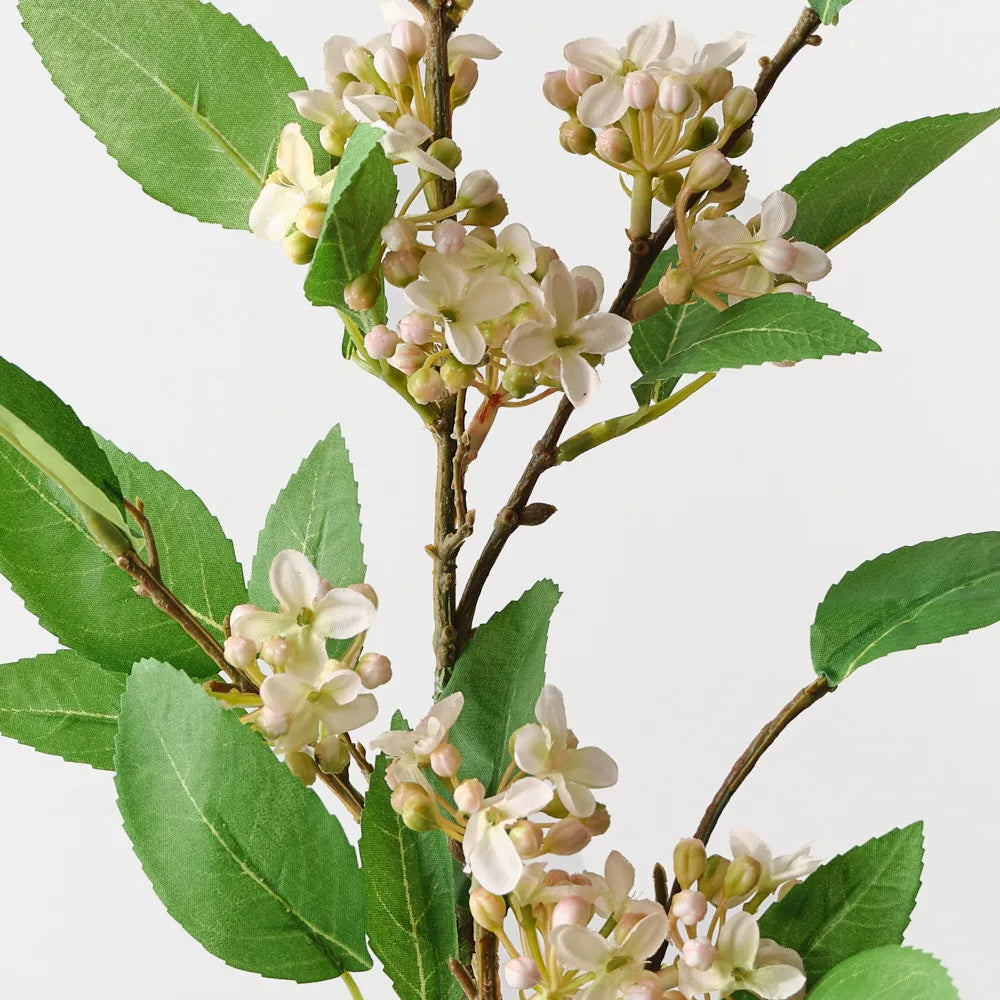 Jasmine Spray 71 cm Stem - Cream Pink