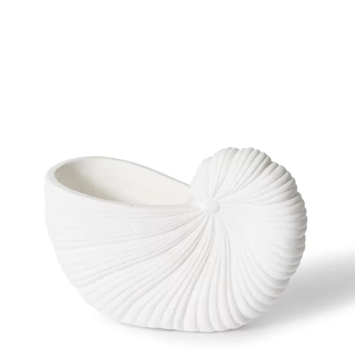 Conch Shell Pot