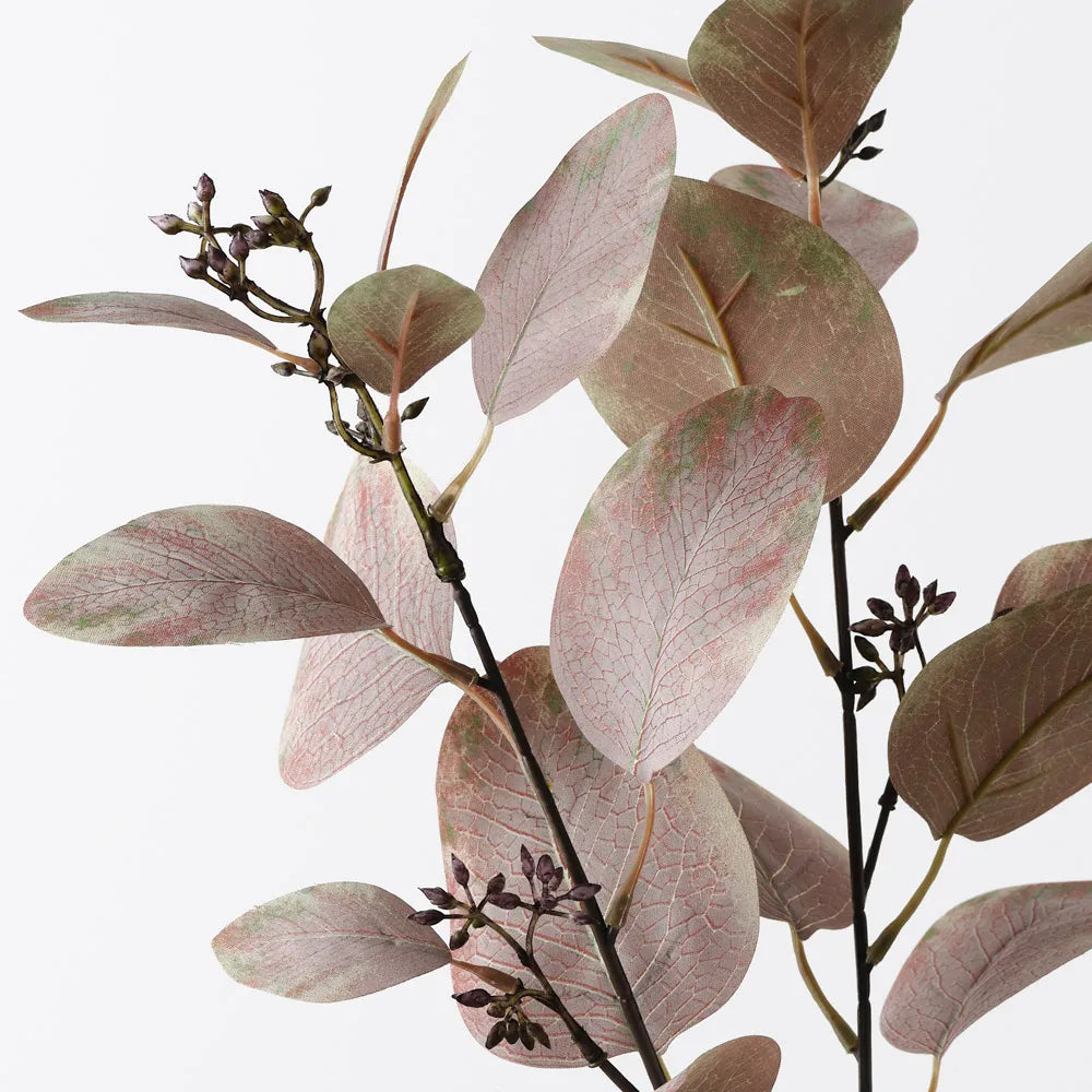 Eucalyptus Seed Spray - 83cm Stem