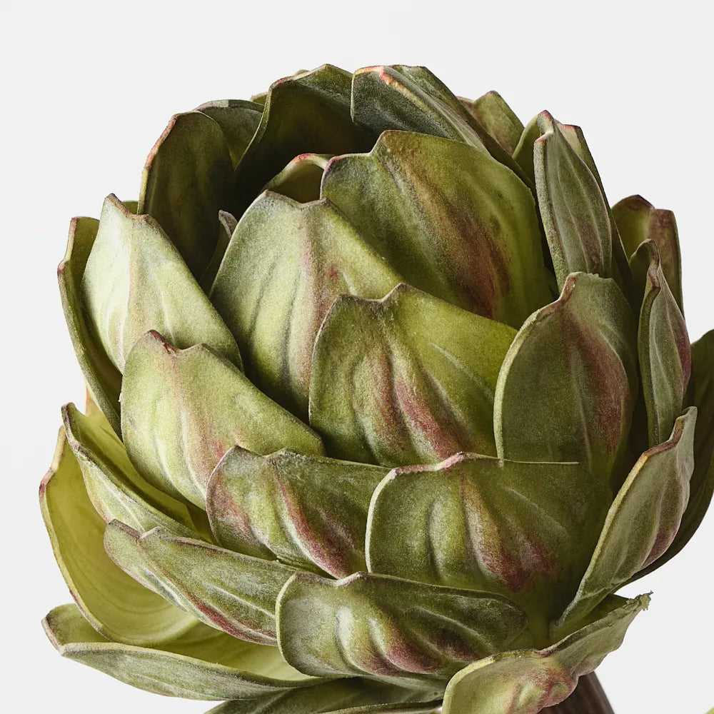 Artichoke Stem 32 cm - Green