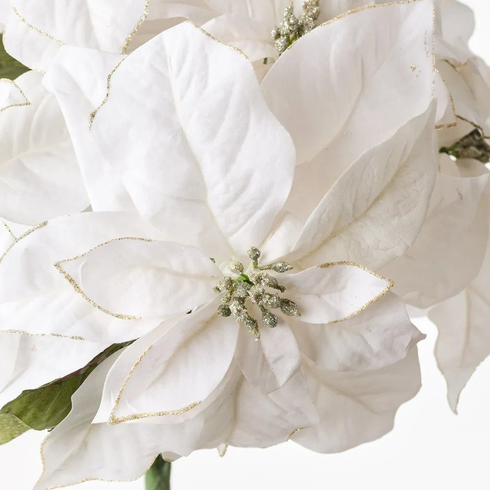 Poinsettia Glitter Bush - White