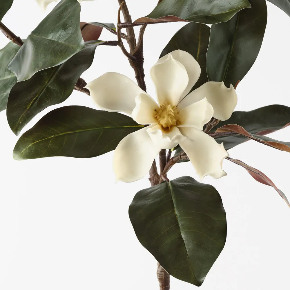 Magnolia Spray - 124cm Stem