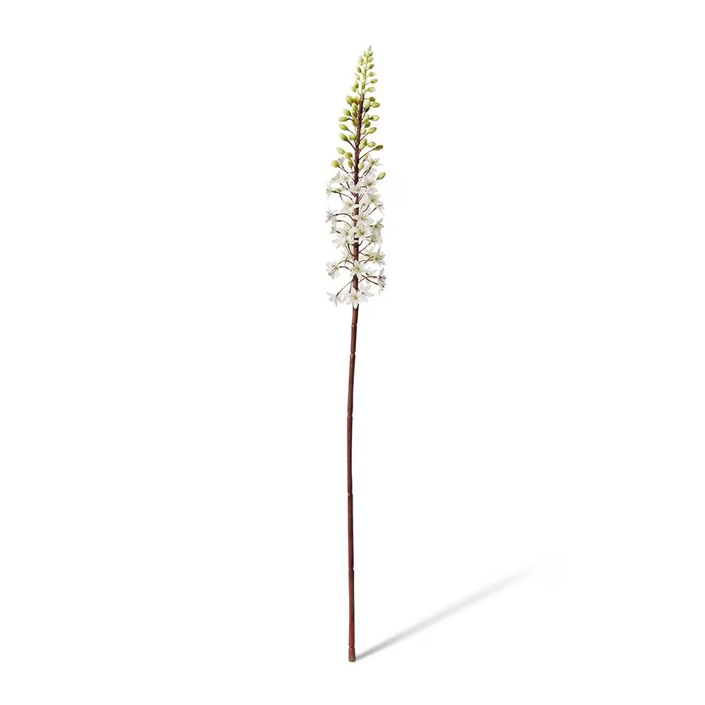 Eucomis Stem White - 7 x 10 x 89cm