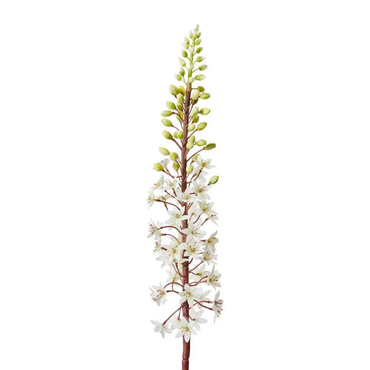 Eucomis Stem White - 7 x 10 x 89cm