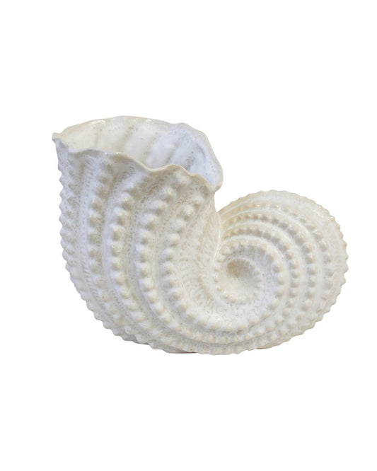 Trumpet Shell Planter / Vase