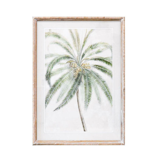 Casa Palmera Framed Print