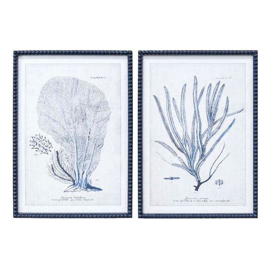 Duo Set Of Corallo Azul Navy Blue Framed Prints