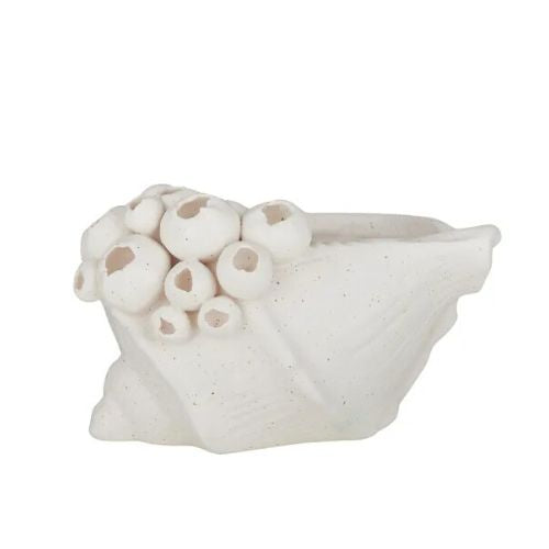 Barwon Ceramic Shell Sculpture