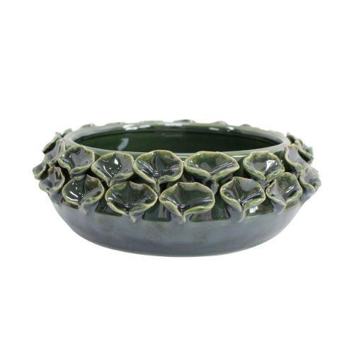 Succulent Juniper Bowl