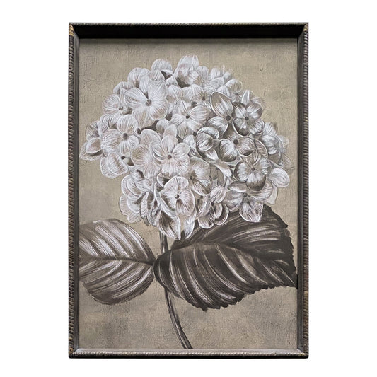 Finch Sepia Hydrangea Art