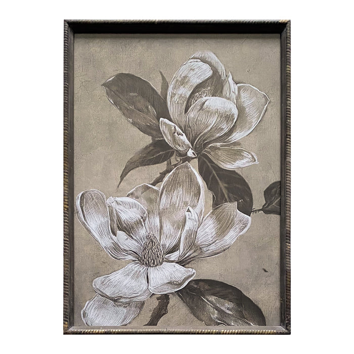 Finch Sepia Magnolia Art