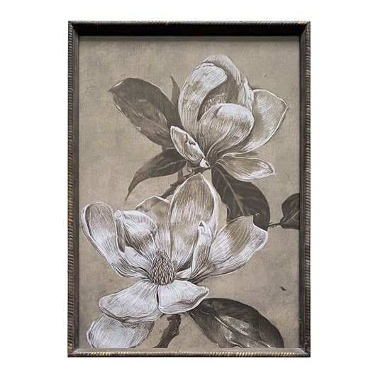 Finch Sepia Magnolia Art