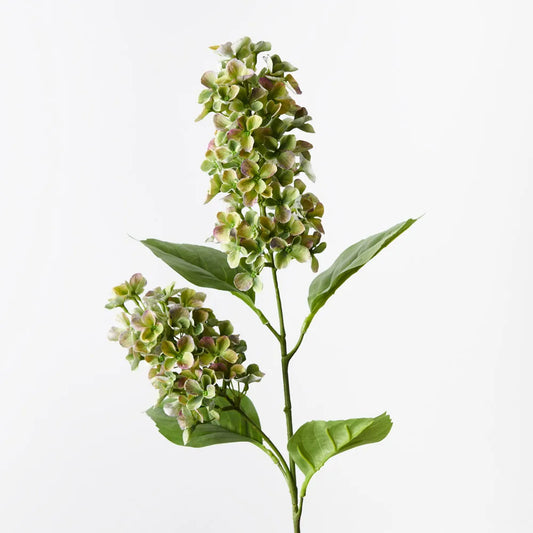 Hydrangea Cone Spray