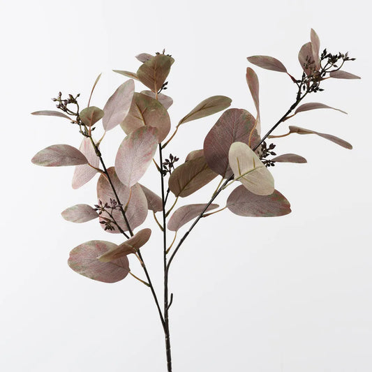 Eucalyptus Seed Spray - 83cm Stem