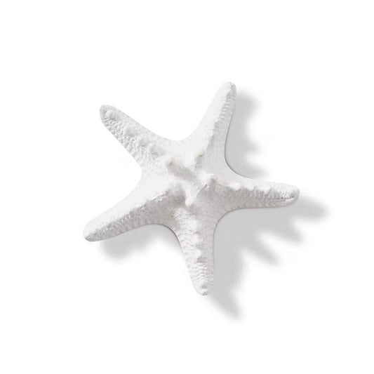 Starfish Knobbed White