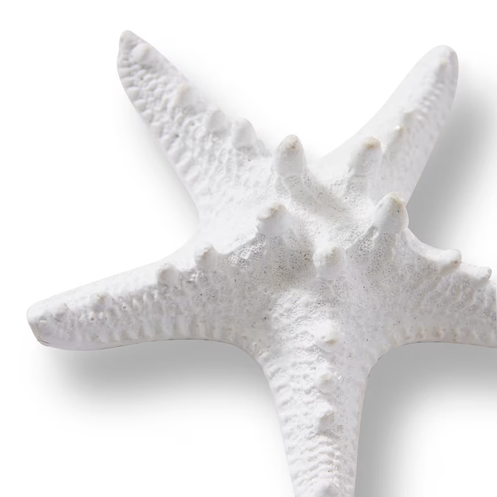 Starfish Knobbed White