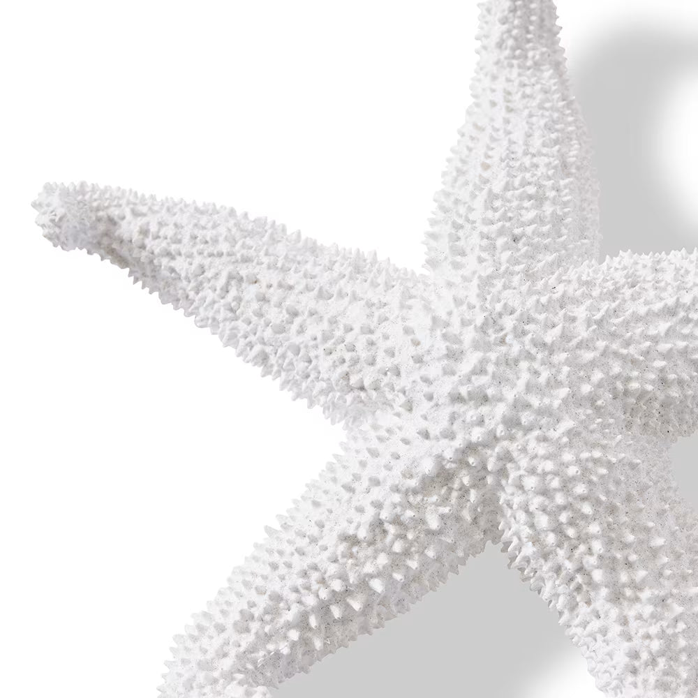 Starfish Ochre White
