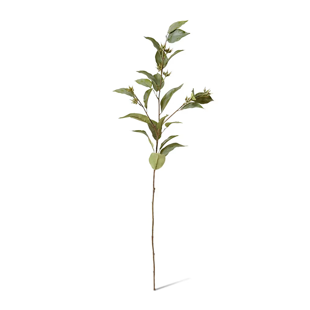 Eucalyptus Seed Spray 112 cm Stem