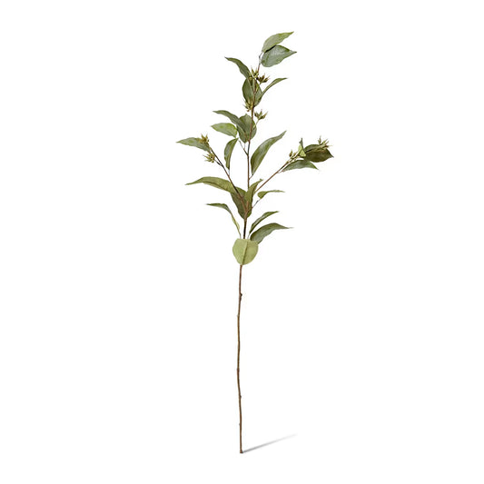Eucalyptus Seed Spray 112 cm Stem