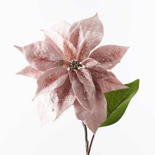 Pale Pink Poinsettia Large Stem - 71 cm