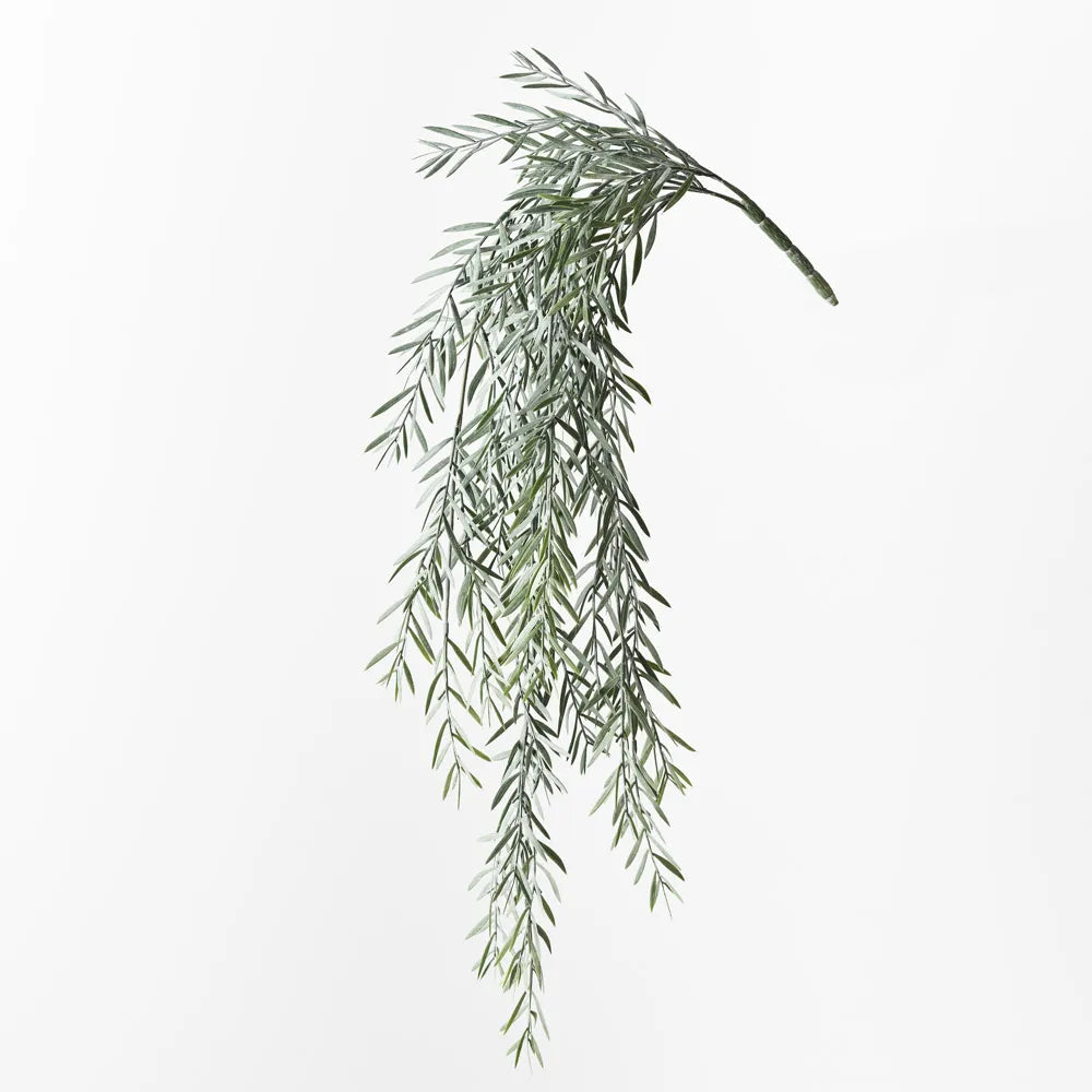 Acacia Leaf Hanging Bush - 76cm