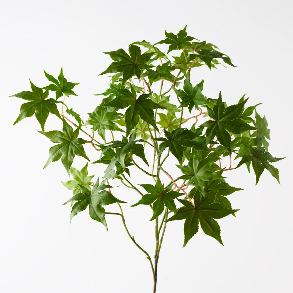 Japanese Maple Leaf Spray