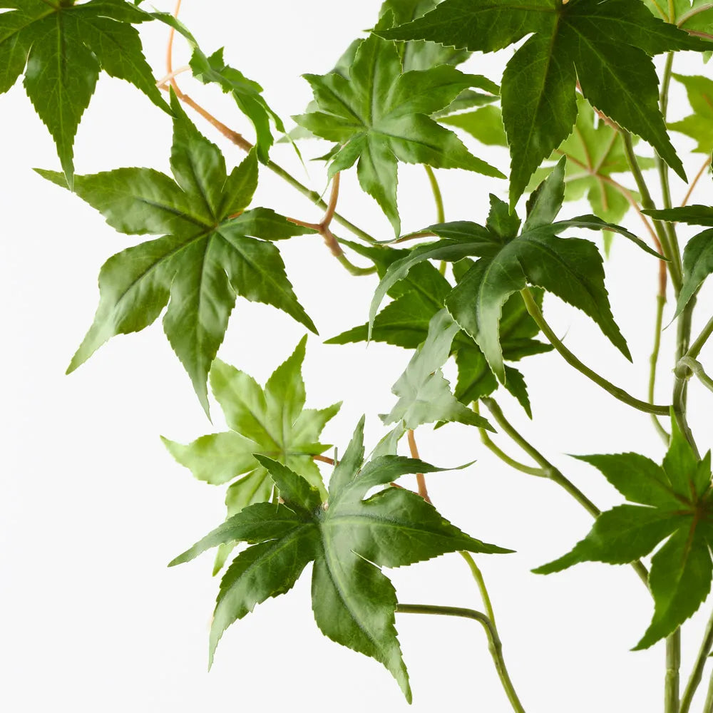 Japanese Maple Leaf Spray