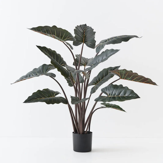 Alocasia Plant Real Touch - 140cm