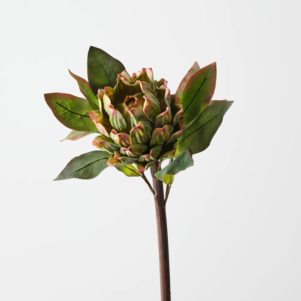 Artichoke Stem  62 cm - Green