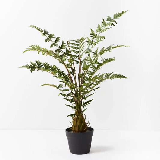 Fern Royal Plant 100cm