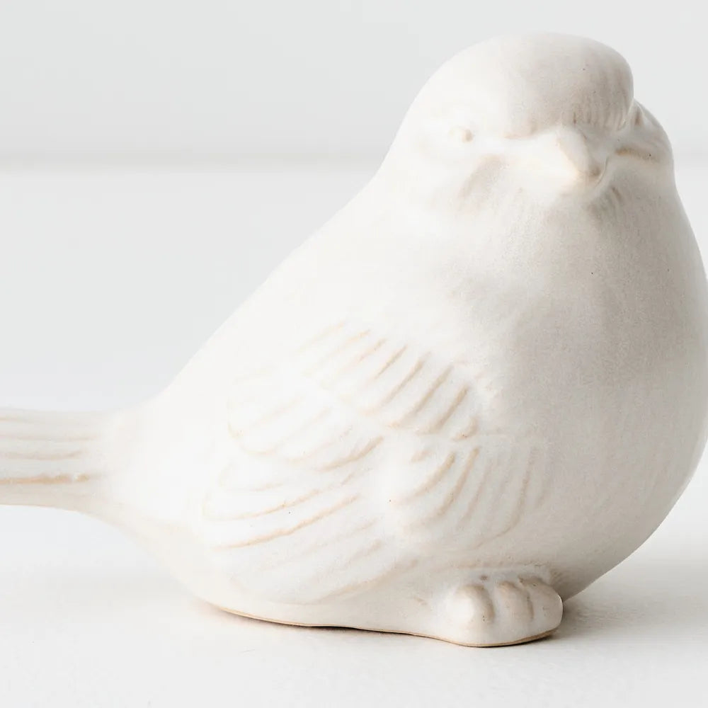Sora Bird