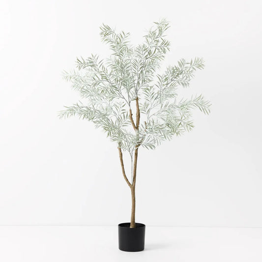 Acacia Tree - 122cm - Grey
