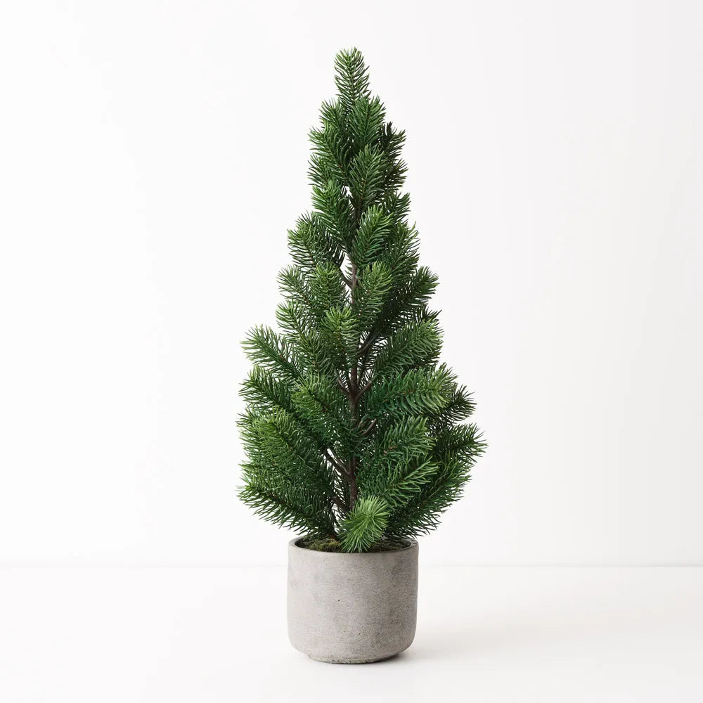 Fur Tree in Pot 60cm