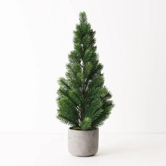 Fur Tree in Pot 60cm