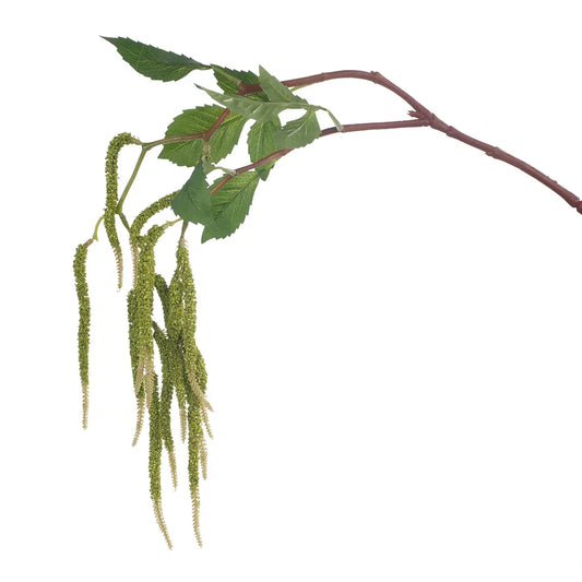 Amaranthus Spray - Green 88 cm