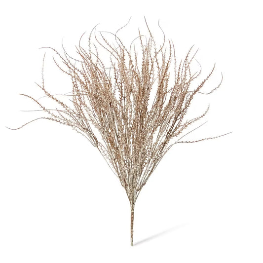 Wheat Grass Bush
